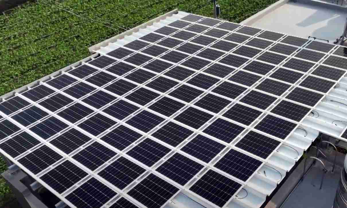 传奇国际SunSteel光电浪板升级双玻结构，，，，以提升机械负载强度及气候耐候度，，可广泛运用于多元场域