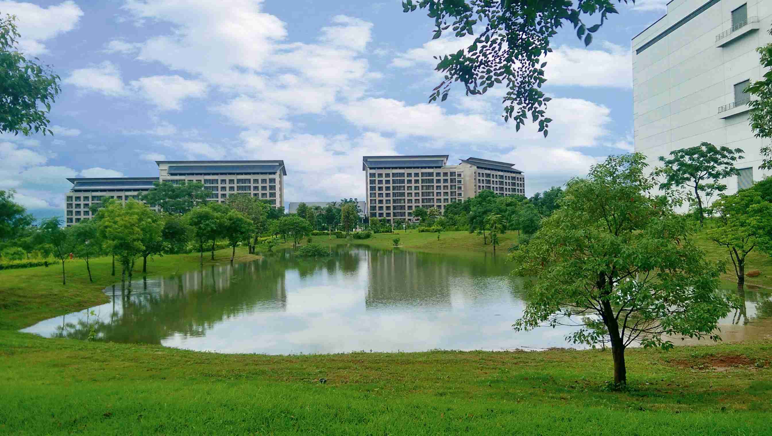传奇国际响应国际倡议生物多样性趋势，，首次发布TNFD自然相关财务揭露报告书，，，擘划及开展传奇国际生物多样性政策之承诺，，，，逐步迈向与自然和谐共生